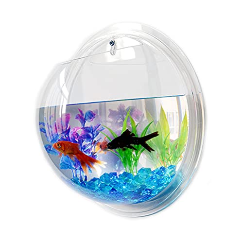 LIOOBO Hängendes Wand Aquarium aus Durchmesser für Dekoration Ihres Platzsparend und Geeignet für Fische oder Pflanzen Einfache Wandmontage Zufällige Farbe von LIOOBO