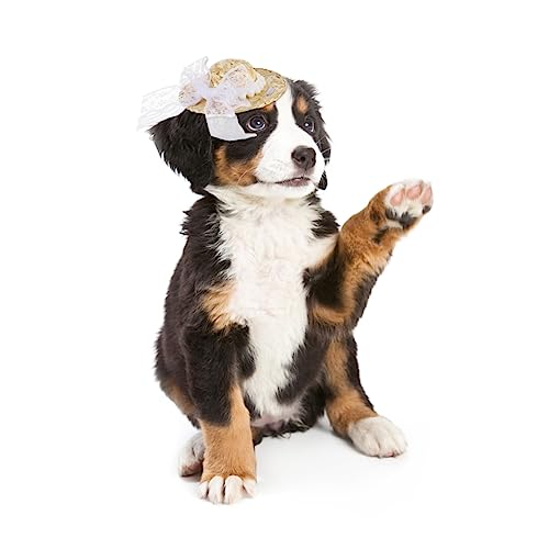 LIOOBO Haustierbogenhut Hallo Rosa Zubehör Haustiere Sonne Katzenmütze Hüte Für Katzen Mutter Katzenhüte Klein Haustierhut Haustier Dekorativer Bowknot-Hut Stroh LIOOBO Haustierbogenhut Hallo Rosa Zubehör Haustiere Sonne Katzenmütze Hüte Für Katzen Mutter Katzenhüte Klein Haustierhut Haustier Dekorativer Bowknot-Hut Stroh von LIOOBO