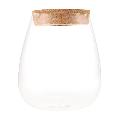 LIOOBO Hydro ponische Pflanzen Flasche klare Vase Terrarienglas Glasblumentopf Wasserblumenbehälter Pflanzen Terrarium Glasbehälter für Hydroponikpflanzen Desktop-Blumentopf aus Glas Holz von LIOOBO