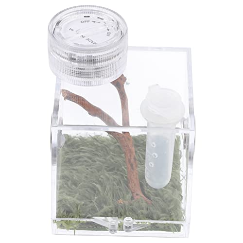 LIOOBO Mini Spinnenzuchtbox mit Lampe Tragbarer Behälter für Springspinnen und Insekten Leicht und Kompakt für Zucht und Beobachtung LIOOBO Mini Spinnenzuchtbox mit Lampe Tragbarer Behälter für Springspinnen und Insekten Leicht und Kompakt für Zucht und Beobachtung von LIOOBO