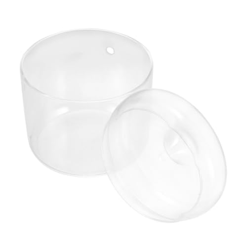 LIOOBO Moos Ökologische Vase Pflanzen Mikrolandschaftsflasche Ökologische Flasche Mikrolandschaft Pflanzgefäßflasche Pflanzenflasche Hydroponische Vase Mikrolandschaftsbehälter LIOOBO Moos Ökologische Vase Pflanzen Mikrolandschaftsflasche Ökologische Flasche Mikrolandschaft Pflanzgefäßflasche Pflanzenflasche Hydroponische Vase Mikrolandschaftsbehälter von LIOOBO