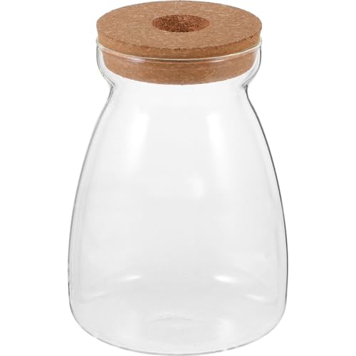 LIOOBO Ökologische Flasche für Hydrokulturpflanzen Vase Glasblumentopf Blumenhalter aus Glas Transparenter Blumenhalter Desktop-Blumentopf aus Glas Holz von LIOOBO