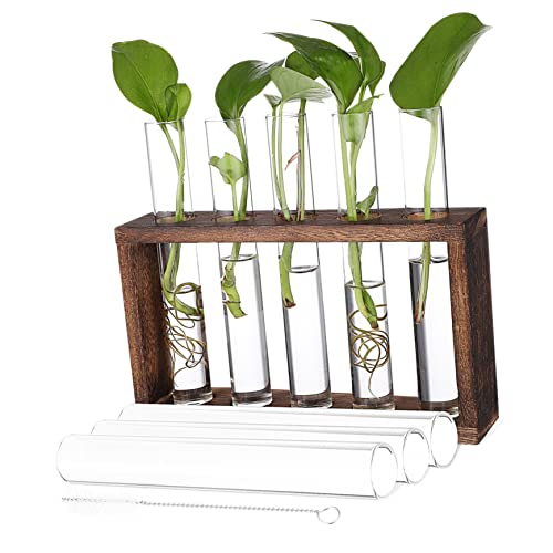 LIOOBO Pflanzen Terrarium mit Holzgestell und Reagenzgläsern Hydrokultur Pflanzenbehälter mit Reinigungsbürste Stilvolle Anzuchtstation für Pflanzen im Innenbereich von LIOOBO