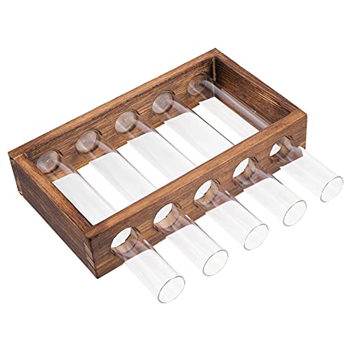 LIOOBO Reagenzglasvase Hydroponischer Pflanzer Vasen Für Hydroponik Pflanzen Wasser Vermehrung Hydroponisches Reagenzglas Anlage Drinnen Prüfen Röhren Einmachgläser Blumentopf Holz LIOOBO Reagenzglasvase Hydroponischer Pflanzer Vasen Für Hydroponik Pflanzen Wasser Vermehrung Hydroponisches Reagenzglas Anlage Drinnen Prüfen Röhren Einmachgläser Blumentopf Holz von LIOOBO