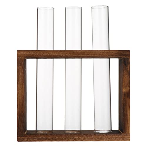 LIOOBO Reagenzglasvase Röhrenvase prüfen Anlage Pflanzen Mini Wasserrohr wachsend mit Fläschchen Testrohre für Glasvasen Pflanzvase Blumentopf Testrohrvase hydroponischer Pflanzer Holz LIOOBO Reagenzglasvase Röhrenvase prüfen Anlage Pflanzen Mini Wasserrohr wachsend mit Fläschchen Testrohre für Glasvasen Pflanzvase Blumentopf Testrohrvase hydroponischer Pflanzer Holz von LIOOBO