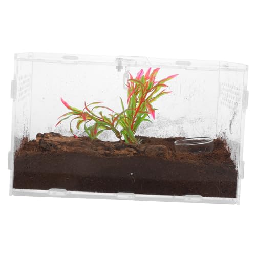 LIOOBO Reptilien Terrarium Zuchtbox Transparente Fütterungsbox für Kleine Reptilien Teiligem Zubehörset Optimal für Spinnen Gecko von LIOOBO