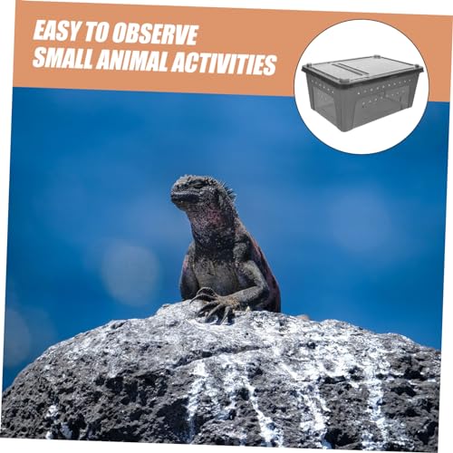LIOOBO Reptilien Zuchtbox aus Robustem mit Atmungsaktivem Design Leichte Kompakte Fütterungsbox für Spinnen Taranteln und Kleine Reptilien zur Beobachtung und Aufzucht von LIOOBO