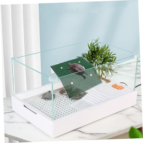 LIOOBO Schildkröten Kletterleiter mit Kunstrasen rutschfeste Aquarien Sonnenplattform für Kleine Wasserschildkröten und Reptilien Langlebige Pp Terrarium Deko Stark Haftender Saugnapf LIOOBO Schildkröten Kletterleiter mit Kunstrasen rutschfeste Aquarien Sonnenplattform für Kleine Wasserschildkröten und Reptilien Langlebige Pp Terrarium Deko Stark Haftender Saugnapf von LIOOBO