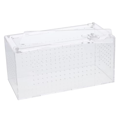 LIOOBO Transparente Professionelle Reptilienbox aus Acryl mit Belüftungslöchern Multifunktional für Spinnen Eidechsen Frösche und Kleine Schlangen Leicht zu Reinigen und Sichtbar für von LIOOBO