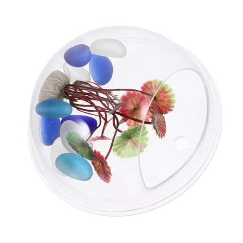 LIOOBO Wandmontierter Transparenter Fischtank Durchmesser Hängendes Aquarium für Dekorative Raumgestaltung und Platzersparnis für Fische und Pflanzen von LIOOBO