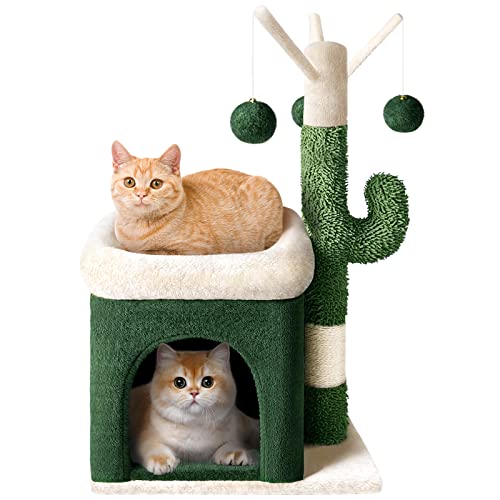 LIOOPET Kaktus-Kratzbaum für Indoor-Katzen, 76,2 cm, kleiner Katzenturm mit grünem Kratzbaum, gemütlicher Wohnung, Plüsch-Sitzstangen und flauschigen Bällen von LIOOPET