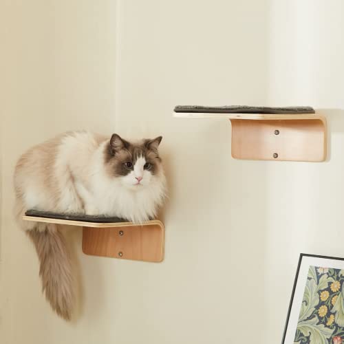 LIORCE 2 Set Katzenwandtreppe – Holz Katzenkletterregal für Wand – Katzenwandtreppe mit Kratzmatte – Wandmontierte Katzenmöbel zum Springen, Spielen und Faulenzen von LIORCE