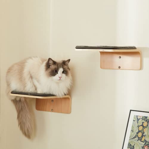 LIORCE 2 Set Katzenwandstufen - Holz Katze Kletterregal für Wand - Katzen Wandtreppe mit Kratzmatte - Wandmontage Katzen Möbel zum Springen, Spielen und Faulenzen LIORCE 2 Set Katzenwandstufen - Holz Katze Kletterregal für Wand - Katzen Wandtreppe mit Kratzmatte - Wandmontage Katzen Möbel zum Springen, Spielen und Faulenzen von LIORCE