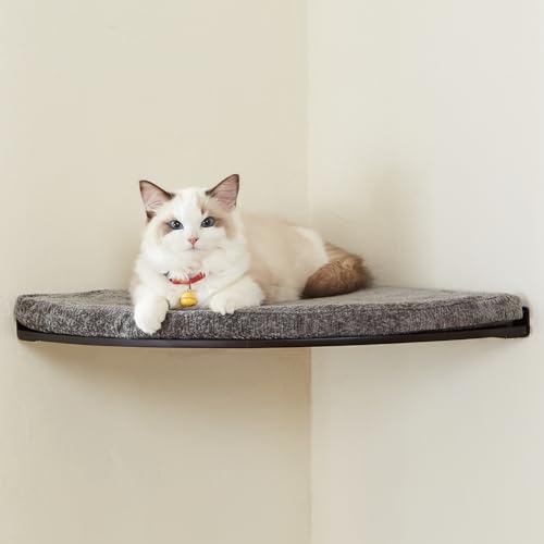 LIORCE Eck-Katzenbett zur Wandmontage, Katzenregal mit bequemem Kissen, minimalistisches Katzenmöbel für Indoor-Katzen, Kletterstange für Wand, Walnuss LIORCE Eck-Katzenbett zur Wandmontage, Katzenregal mit bequemem Kissen, minimalistisches Katzenmöbel für Indoor-Katzen, Kletterstange für Wand, Walnuss von LIORCE
