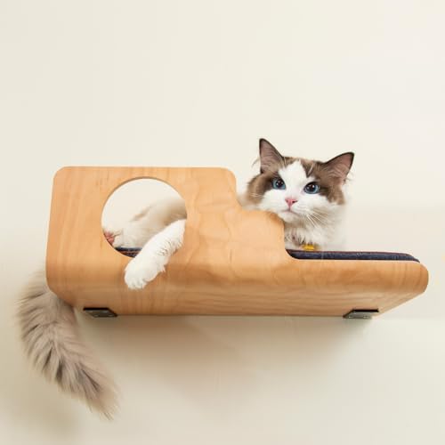 LIORCE Katzen-Wandregale, kreatives Design Katzenregal mit Guckloch, 48,3 x 25,4 cm Katzen Wandmöbel mit bequemer Unterlage, Katzen Sitzstange zum Schlafen, Spielen und Kratzen LIORCE Katzen-Wandregale, kreatives Design Katzenregal mit Guckloch, 48,3 x 25,4 cm Katzen Wandmöbel mit bequemer Unterlage, Katzen Sitzstange zum Schlafen, Spielen und Kratzen von LIORCE