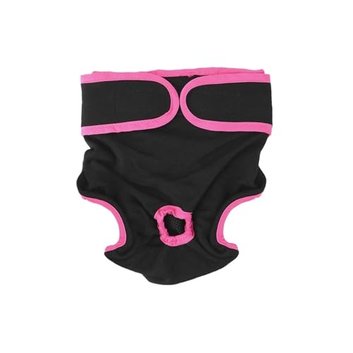 2 x Shorts für Hündinnen, physiologische Hosen für kleine mittelgroße Hunde, Welpen, Windel, Haustierunterwäsche (Farbe: Schwarz, Größe: L) von LIPINGJING0201