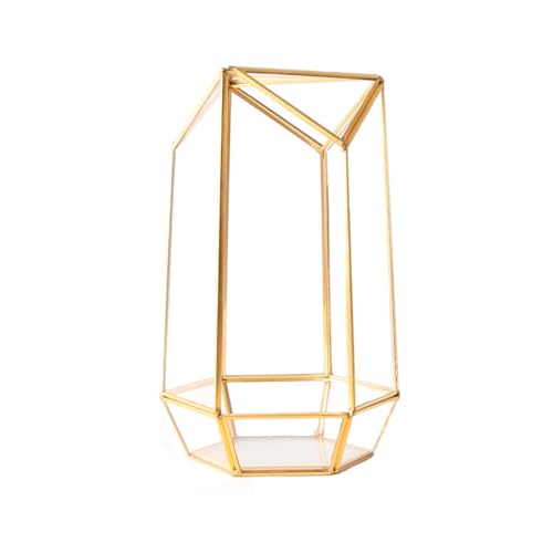 Geometrisches Pflanzen-Terrarium, Pflanzgefäß, Sukkulenten-Halter, DIY-Blumentopf für den Innenbereich, Tischplatte, Heimbüro, Dekoration Geometrisches Pflanzen-Terrarium, Pflanzgefäß, Sukkulenten-Halter, DIY-Blumentopf für den Innenbereich, Tischplatte, Heimbüro, Dekoration von LIPINGJING0201