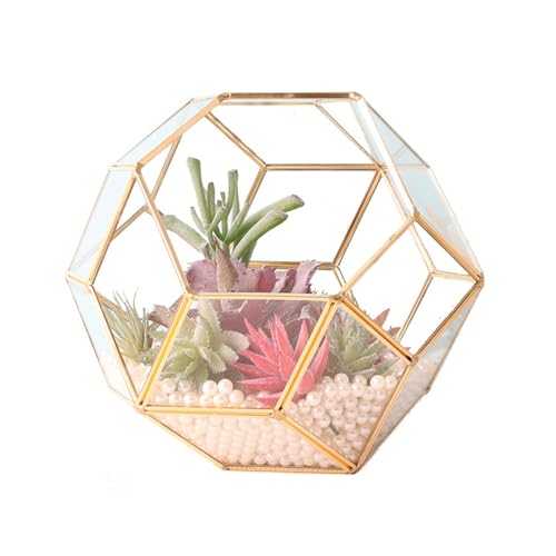 Glas-Terrarium in runder Form, geometrisches Tisch-Terrarium für Schnecken, Farne, Sukkulenten, Luftpflanzen, handgefertigt, DIY von LIPINGJING0201