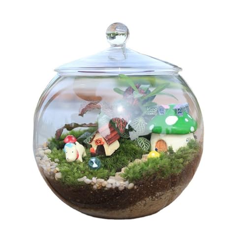 LIPINGJING0201 Creative Moss DIY Ökologische Flasche mit Deckel Sukkulenten Vase Schreibtisch Micro Landschaft Glasvase LIPINGJING0201 Creative Moss DIY Ökologische Flasche mit Deckel Sukkulenten Vase Schreibtisch Micro Landschaft Glasvase von LIPINGJING0201
