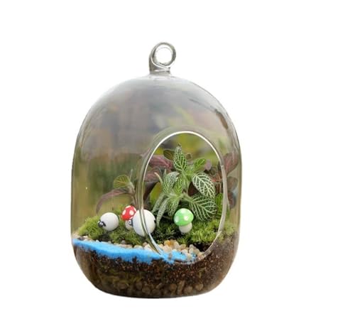 Moos Mikro-Landschafts-Glasvase, kreative DIY-Pflanztöpfe, Ornamente, Sukkulenten-Vase von LIPINGJING0201