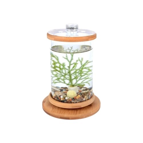 Schreibtisch-Öko-Glasflasche, kreatives Mikro-Aquarium mit drehbarem Boden, kleine Fische von LIPINGJING0201
