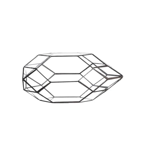 Schwarzes Glas-Terrarium, Tisch-Gewächshaus, Glasterrarien für Sukkulenten, Moos, Pflanzen, Schnecken Schwarzes Glas-Terrarium, Tisch-Gewächshaus, Glasterrarien für Sukkulenten, Moos, Pflanzen, Schnecken von LIPINGJING0201