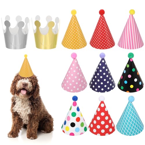 LIQWEI 11-teiliges Katzen-Geburtstagshut, Haustiermützen-Set, Stofftier-Mini-Partyhüte, bunte Papierhüte und Kronen für Urlaub, Welpen, Tiere, Kostüm-Zubehör LIQWEI 11-teiliges Katzen-Geburtstagshut, Haustiermützen-Set, Stofftier-Mini-Partyhüte, bunte Papierhüte und Kronen für Urlaub, Welpen, Tiere, Kostüm-Zubehör von LIQWEI