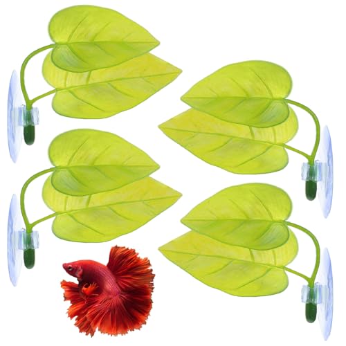 LIQWEI Betta Fischblatt-Hängematte, Betta-Dekoration, Doppelblatt-Design mit Saugnapf, simuliert den natürlichen Lebensraum für Kampffische, Laichplätze, Ruhen, Verstecken, Spielen, 4 Stück LIQWEI Betta Fischblatt-Hängematte, Betta-Dekoration, Doppelblatt-Design mit Saugnapf, simuliert den natürlichen Lebensraum für Kampffische, Laichplätze, Ruhen, Verstecken, Spielen, 4 Stück von LIQWEI