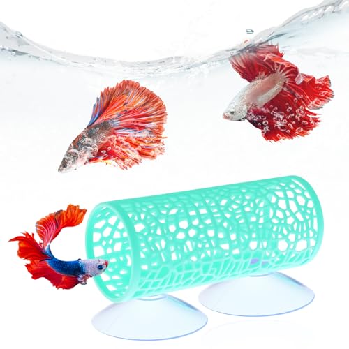 LIQWEI Betta-Tunnel, Betta-Versteck Garnelen-Tank-Zubehör, Hängematte mit Saugnäpfen, sichere hohle Hängematte, Aquarium-Dekoration für Bettas, Fischversteck, Spielen und Ausruhen, Grün LIQWEI Betta-Tunnel, Betta-Versteck Garnelen-Tank-Zubehör, Hängematte mit Saugnäpfen, sichere hohle Hängematte, Aquarium-Dekoration für Bettas, Fischversteck, Spielen und Ausruhen, Grün von LIQWEI