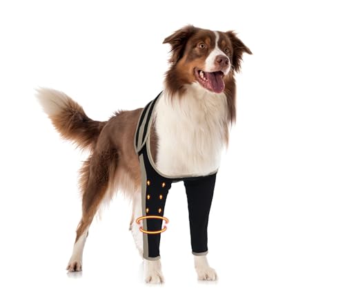 Die Hunde-Erholungsmanschette am Vorderbein verhindert, dass Hunde Wunden lecken, die Hundebeinmanschette ist aus Yoga-Stoff, die Hundehülle verhindert Lecken ist atmungsaktiv, geeignet für den Die Hunde-Erholungsmanschette am Vorderbein verhindert, dass Hunde Wunden lecken, die Hundebeinmanschette ist aus Yoga-Stoff, die Hundehülle verhindert Lecken ist atmungsaktiv, geeignet für den von LISPOO