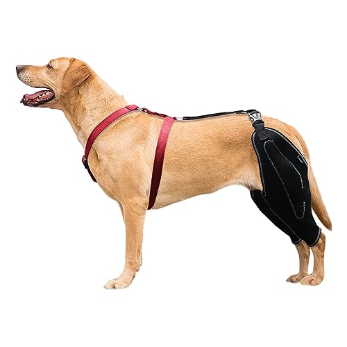LISPOO Dog Acl Kniebandage für zerrissene Hinterbeine, Luxating Patella, Gelenkschmerzen und Arthritis, Hunde-Kniebandagen für Hinterbeine, warmes Gelenk und lindert Schmerzen, Hunde-Acl Brace(XL) von LISPOO