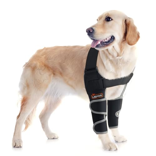 LISPOO Hunde-Ellenbogenbandage für Schulter und Vorderbein, Hunde-Ellenbogenbandage für Schulterluxation, Druckgeschwüren, Ellenbogenverletzungen und Stabilitätsverlust durch Arthritis LISPOO Hunde-Ellenbogenbandage für Schulter und Vorderbein, Hunde-Ellenbogenbandage für Schulterluxation, Druckgeschwüren, Ellenbogenverletzungen und Stabilitätsverlust durch Arthritis von LISPOO