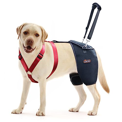 LISPOO Hüftbandage für große Hunde – verstellbare orthopädische Stützbandage für Dysplasie/Arthritis, ausreichende Atmungsaktivität, warme Gelenkschmerzlinderung (L) von LISPOO