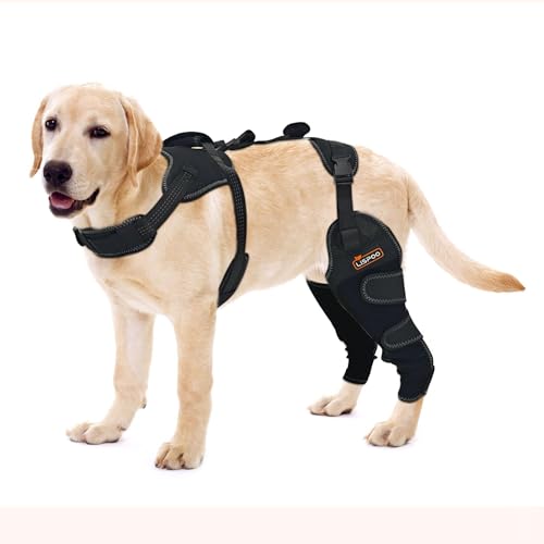 LISPOO Hunde-Kniebandage für ACL, Arthritis-Entlastung & Patella-Luxation – Verstellbare Hinterbeinstütze mit Gelenkschutz, Mobilitätshilfe bei leichten Schmerzen und Verletzungen, Größe XL von LISPOO