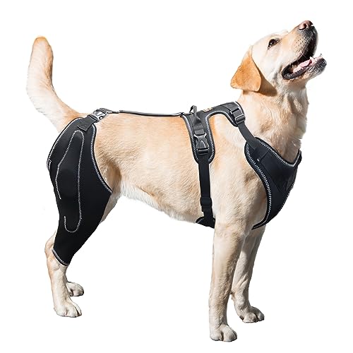 LISPOO Hunde-Kniebandage für zerrissene Hinterbeine, luxuriöse Patella, Arthritis, Hunde-Kniebandage mit Metallschiene, Scharnierstütze für CCL, Hunde-Kniebandage (L) von LISPOO