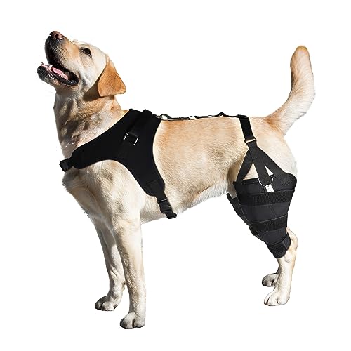 LISPOO Hunde-Kniebandage für zerrissenes Akl-Bein, Luxating Patella, Arthritis und Gelenkschmerzen, Kreuzbandbandage für Hunde, mit Metallschiene, Scharnierstütze für CCL, bessere Erholung mit von LISPOO