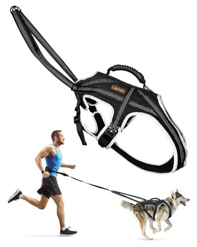 LISPOO Hundegeschirr zum Ziehen, Laufen, Skifahren, Bikejoring und Gewichtheben, verstellbares Schlitten-Hundegeschirr mit Leine und Taillen-Leinen-Befestigung für mittelgroße und große Rassen, Größe von LISPOO
