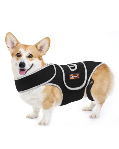 LISPOO IVDD Rückenstütze für Hunde, Dackel-Wirbelsäulenstützgeschirr, atmungsaktive orthopädische Weste zur Schmerzlinderung, verstellbare und reflektierende Genesungshilfe, Größe XL LISPOO IVDD Rückenstütze für Hunde, Dackel-Wirbelsäulenstützgeschirr, atmungsaktive orthopädische Weste zur Schmerzlinderung, verstellbare und reflektierende Genesungshilfe, Größe XL von LISPOO