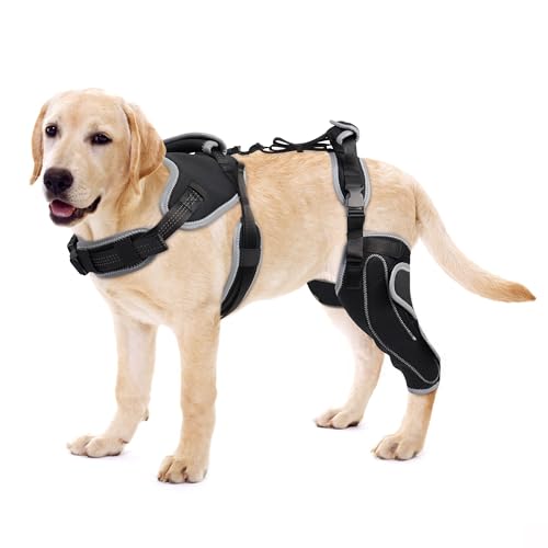 LISPOO Kniebandage für Hunde, Rückenbein, Scharnier-Kniebandage für gerissenes ACL-Hinterbein, Hundekniebandage für Luxating Patella, Hundebandage für Rückenbeinstütze (M) von LISPOO