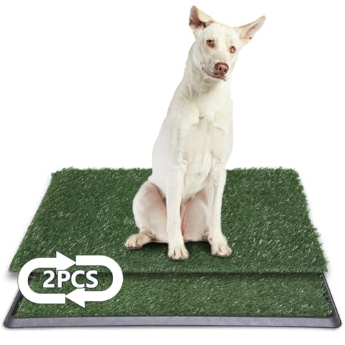 LITA Indoor-Hundetoilette für Haustiertraining, Töpfchensystem (50,8 x 76,2 cm) von LITA