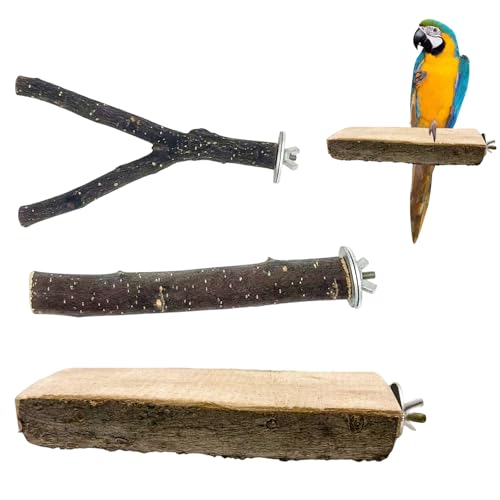 3 x Vogelsitzstangen, Papageien-Sitzstange für Käfig, 15 cm, Naturholz, Vogelkäfig-Sitzstangen für Papageien, Wellensittiche, Nymphensittiche, Sittiche, Lovebirds 3 x Vogelsitzstangen, Papageien-Sitzstange für Käfig, 15 cm, Naturholz, Vogelkäfig-Sitzstangen für Papageien, Wellensittiche, Nymphensittiche, Sittiche, Lovebirds von LIUQOBN