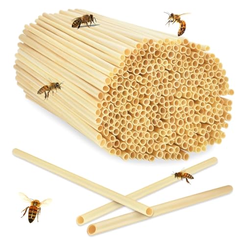 LIUYIDM Niströhren für Wildbienen 500 Stück 14.5 cm Länge Nisthülsen Insektenhotel Füllmaterial Weizenhalme Nisthilfen Bienenhotel Röhrchen DIY Bienenhotel Bausatz,Für Bienen und Insekten LIUYIDM Niströhren für Wildbienen 500 Stück 14.5 cm Länge Nisthülsen Insektenhotel Füllmaterial Weizenhalme Nisthilfen Bienenhotel Röhrchen DIY Bienenhotel Bausatz,Für Bienen und Insekten von LIUYIDM
