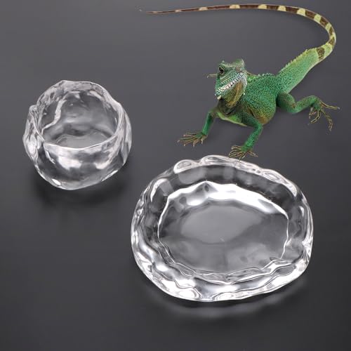 Futternapf und Trinkschale für Reptilien, kleine Futterschale, Terrarium, Futterstation für kleine Reptilien, Eidechsen, Gecko, Spinne, Cricket, Baby, Bartdrache, Einsiedler, Krabbe, Schnecke, von LIUZONGIN