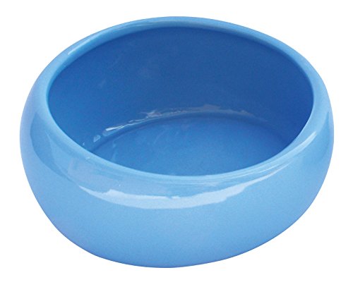 Living World Keramiknapf, für Nager, blau, 240ml Living World Keramiknapf, für Nager, blau, 240ml von LIVING WORLD