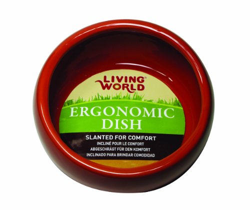 Living World Kleiner ergonomischer Futternapf, Terrakotta von LIVING WORLD
