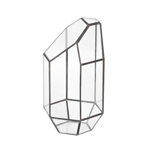 LIXSAZSE Unregelmäßiger Blumentopf aus Glas für Sukkulenten, Behälter, Vase, Miniaturpflanzen, Tischplatte für Garten, Zuhause, Blumentopf LIXSAZSE Unregelmäßiger Blumentopf aus Glas für Sukkulenten, Behälter, Vase, Miniaturpflanzen, Tischplatte für Garten, Zuhause, Blumentopf von LIXSAZSE