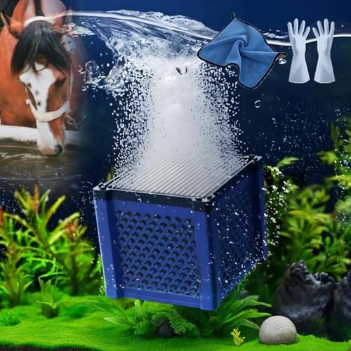 Pure Cube Wassertrogfilter – Aquarium-Set mit Aktivkohle, super starke Wabenfilter für kleine Aquarien, Teiche und Nutztierwasserreinigung (1 Stück, blau) von LIYAOLI
