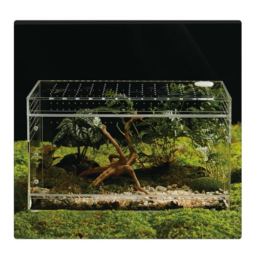 Acryl-Terrarium für Reptilien und Spinnen, kleines/mittelgroßes/großes, auslaufsicheres Gehege (horizontal/vertikal) | ideal für Vogelspinnen, Springspinnen, Frösche und Geckos (groß horizontal) von LIZ QNNALY
