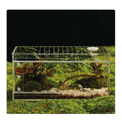 Acryl-Terrarium für Reptilien & Spinnen, kleines/mittelgroßes/großes, auslaufsicheres Gehege (horizontal/vertikal) | ideal für Vogelspinnen, Springspinnen, Frösche und Geckos (klein horizontal) von LIZ QNNALY