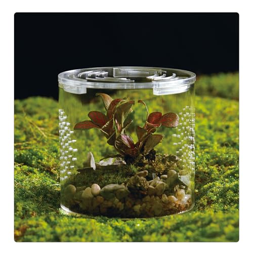 Acryl-Terrarium für Reptilien & Spinnen, kleines/mittelgroßes/großes, auslaufsicheres Gehege (horizontal/vertikal) | ideal für Vogelspinnen, Springspinnen, Frösche & Geckos (klein rund) von LIZ QNNALY